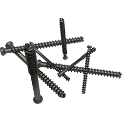 Cannulated Screws
